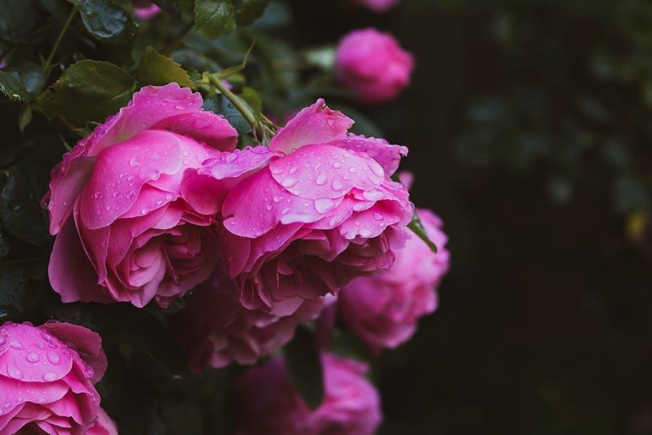 Gardens of France: Cultivating Beauty⁣ on a Budget