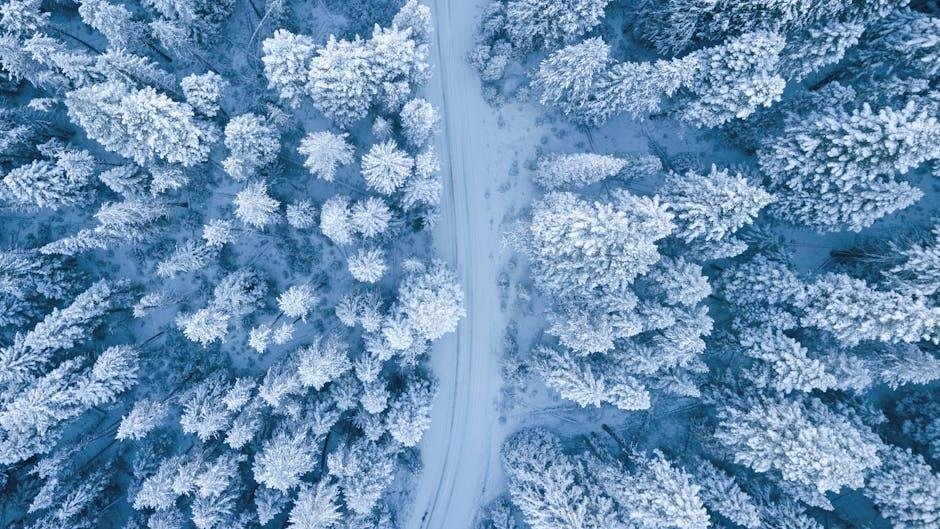 Transforming Spaces with Winter Wonderland Creations